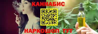 шишки Гатчина