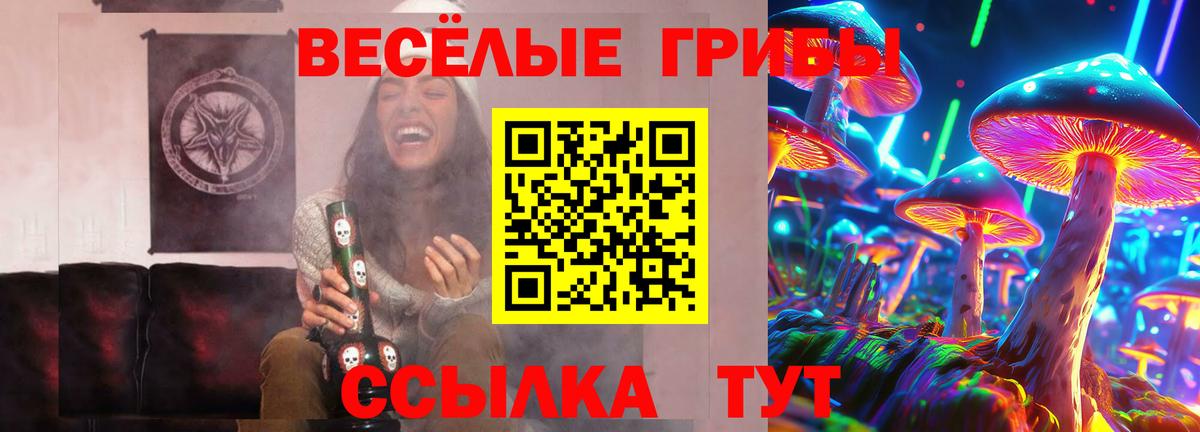 Орехово-Зуево  Псилоцибиновые грибы Psilocybe  Вход с VPN 