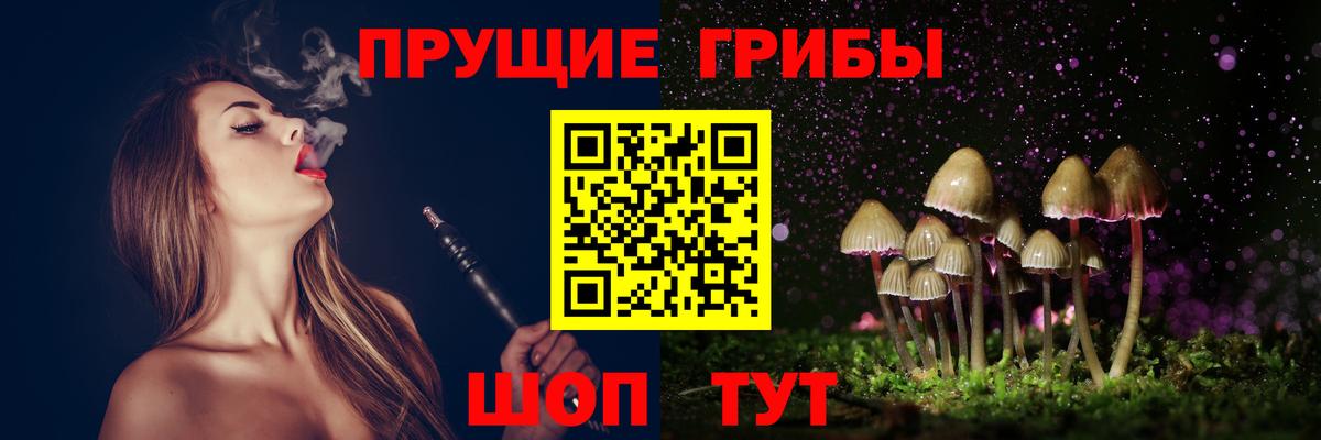 Галлюциногенные грибы GOLDEN TEACHER Орехово-Зуево